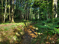 Nejsevernější bod České republiky