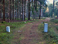 Nový ďár